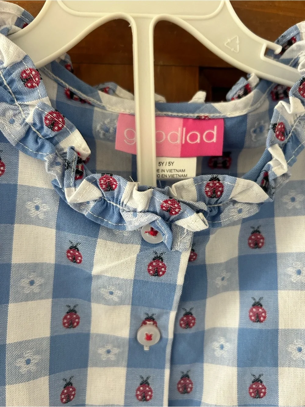 NWT Girls Ladybug Outfit Set - size 5